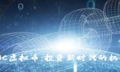 解密SZNC虚拟币：投资新时