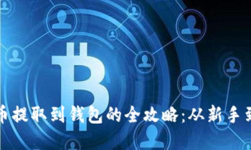 虚拟币提取到钱包的全攻略：从新手到精通