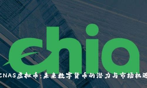 CNAS虚拟币：未来数字货币的潜力与市场机遇