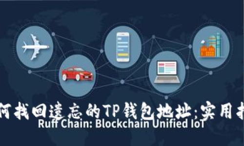 如何找回遗忘的TP钱包地址：实用指南