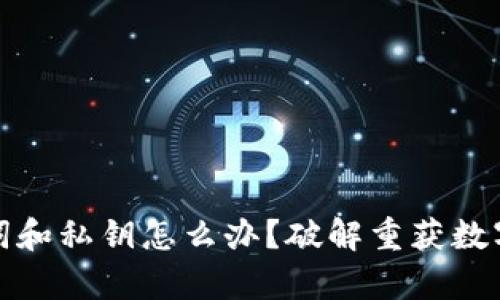 tp钱包忘记助记词和私钥怎么办？破解重获数字资产的完整指南