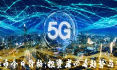 SGB虚拟币今日价格：投资