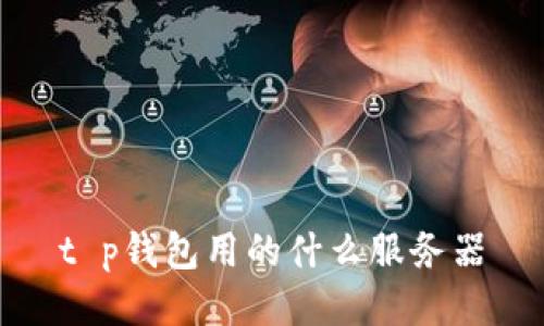 t p钱包用的什么服务器