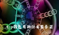 t p钱包用的什么服务器