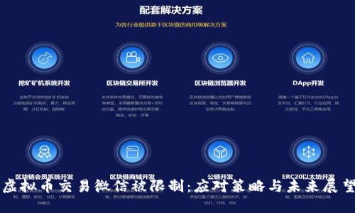虚拟币交易微信被限制：应对策略与未来展望