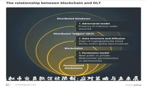 虚拟币交易微信被限制：应对策略与未来展望
