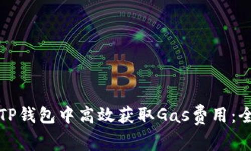 如何在TP钱包中高效获取Gas费用：全面指南