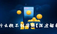TP钱包里为什么搜不到薄饼