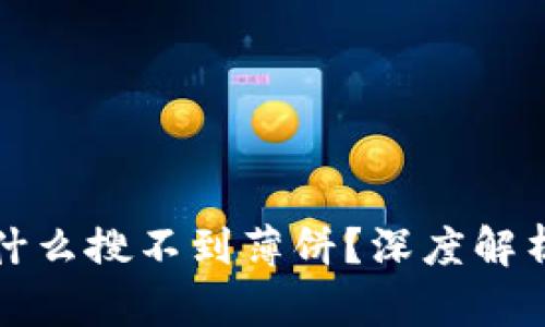 TP钱包里为什么搜不到薄饼？深度解析与解决方案