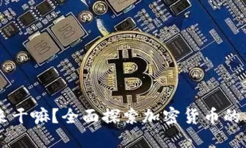 虚拟币买来干嘛？全面探索加密货币的用途与潜力