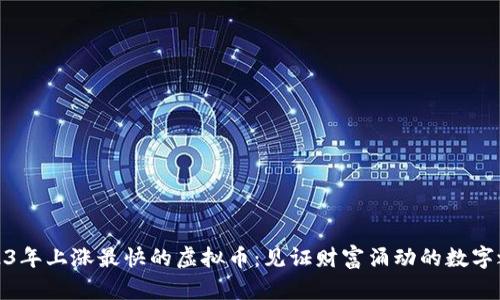 2023年上涨最快的虚拟币：见证财富涌动的数字之潮