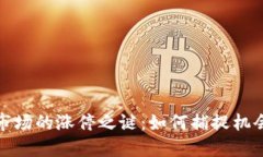 虚拟币市场的涨停之谜：