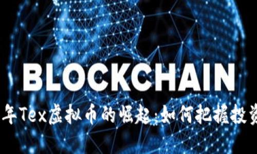 2023年Tex虚拟币的崛起：如何把握投资机遇