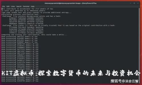 KIT虚拟币：探索数字货币的未来与投资机会