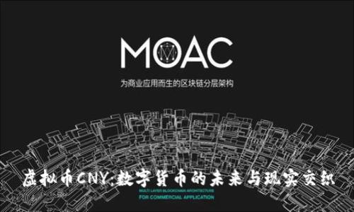 虚拟币CNY：数字货币的未来与现实交织