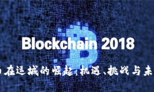 虚拟币在运城的崛起：机遇、挑战与未来展望