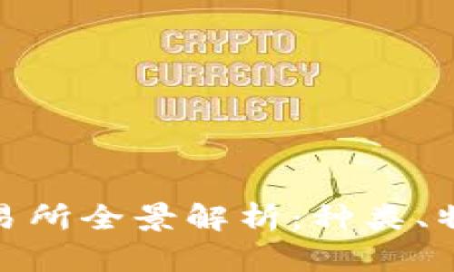 全国虚拟币交易所全景解析：种类、特点与市场影响