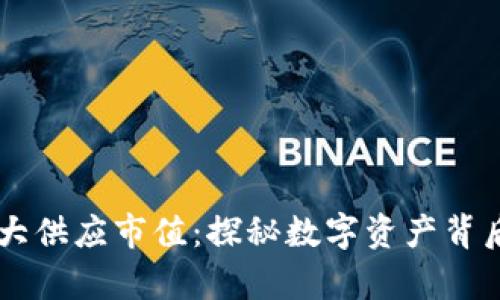 虚拟币的最大供应市值：探秘数字资产背后的财富潜力