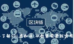 深入了解SOL虚拟币：从投