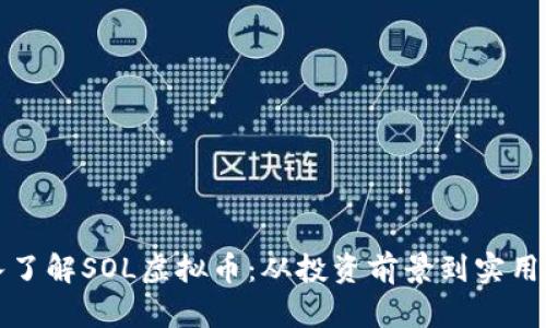 深入了解SOL虚拟币：从投资前景到实用案例