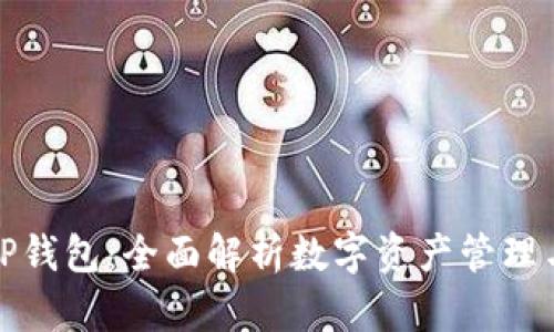 如何观察TP钱包：全面解析数字资产管理与安全策略