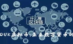 深度解析DUK虚拟币：未来