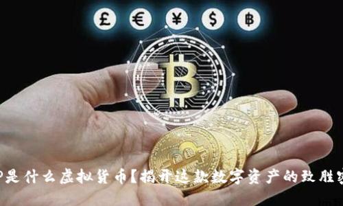 XRP是什么虚拟货币？揭开这款数字资产的致胜密码