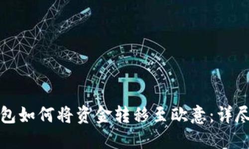TP钱包如何将资金转移至欧意：详尽指南