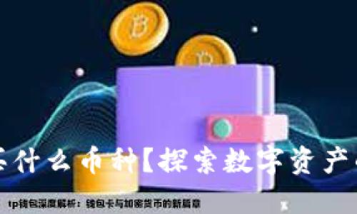 TP钱包能买什么币种？探索数字资产的无限可能