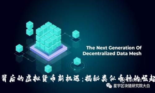 雷达币背后的虚拟货币新机遇：揭秘类似币种的崛起与未来