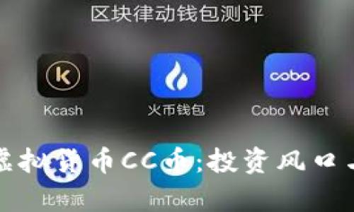 深入解析虚拟货币CC币：投资风口与风险挑战