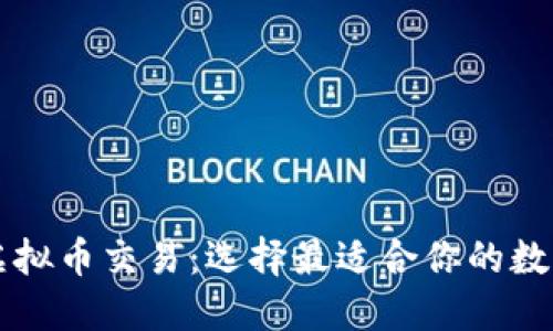 中国虚拟币交易：选择最适合你的数字钱包