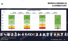 深入解读虚拟币MAXX：未来