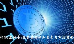 揭秘DNB虚拟币：投资前的