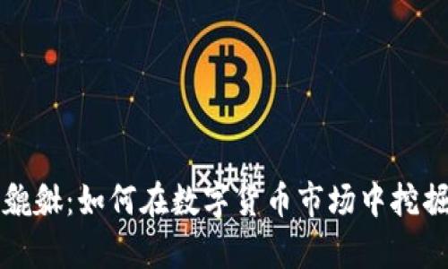 揭秘虚拟币貔貅：如何在数字货币市场中挖掘财富的宝藏