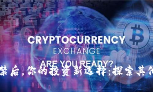 虚拟币封禁后，你的投资新选择：探索其他赚钱途径