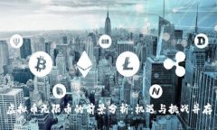 虚拟币无限币的前景分析