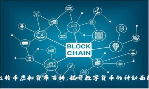 比特币虚拟货币百科：揭开数字货币的神秘面纱