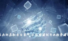 探索欧洲最大的虚拟币交