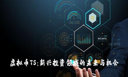 虚拟币TS：新兴投资领域的未来与机会