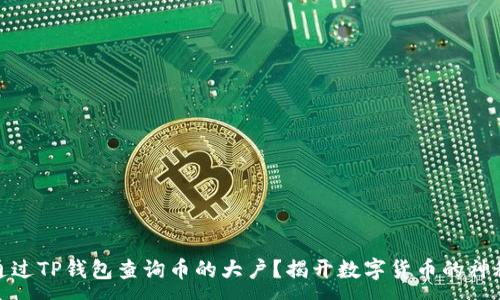 :
如何通过TP钱包查询币的大户？揭开数字货币的神秘面纱