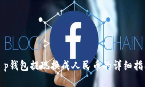 t p钱包提现换成人民币的详细指南
