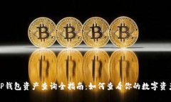 TP钱包资产查询全指南：如