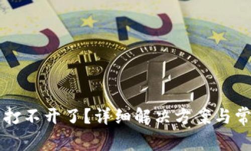 虚拟币钱包打不开了？详细解决方案与常见问题解析