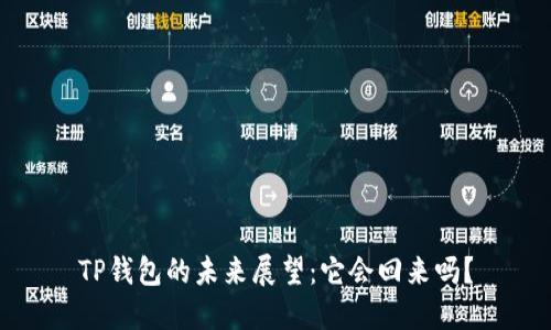 TP钱包的未来展望：它会回来吗？