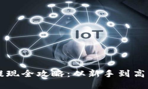 虚拟币钱包提现全攻略：从新手到高手的实用指南