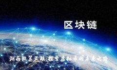 湖南微算互联：探索虚拟