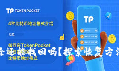 TP钱包被删除还能找回吗？探索恢复方法与安全建议