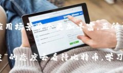   虚拟货币时代的领航者：