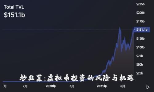炒韭菜：虚拟币投资的风险与机遇